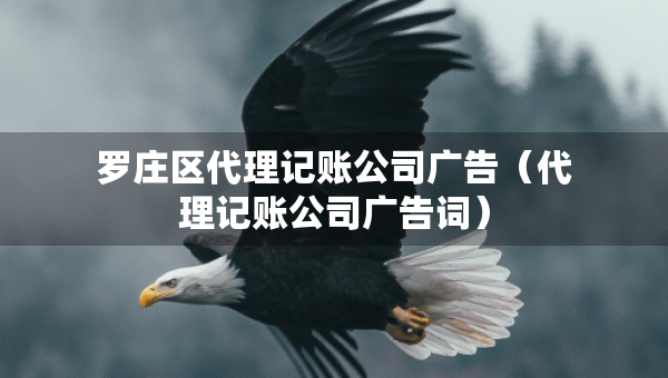 羅莊區(qū)代理記賬公司廣告（代理記賬公司廣告詞）