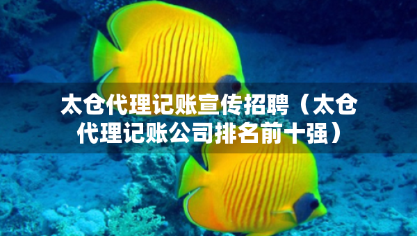 太倉代理記賬宣傳招聘（太倉代理記賬公司排名前十強）