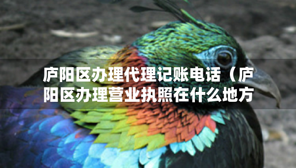 廬陽(yáng)區(qū)辦理代理記賬電話（廬陽(yáng)區(qū)辦理營(yíng)業(yè)執(zhí)照在什么地方）