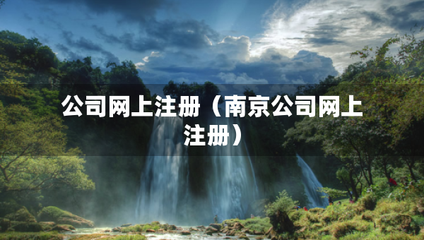 公司網上注冊（南京公司網上注冊）