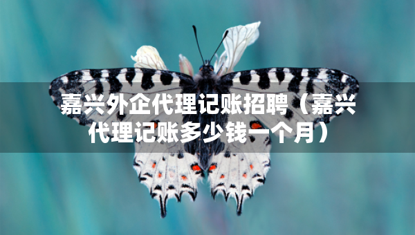 嘉興外企代理記賬招聘（嘉興代理記賬多少錢一個月）