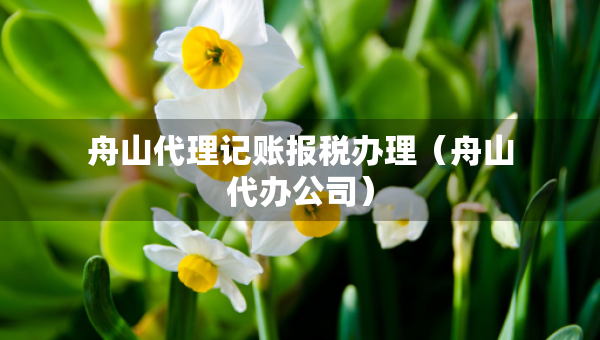 舟山代理記賬報稅辦理（舟山代辦公司）