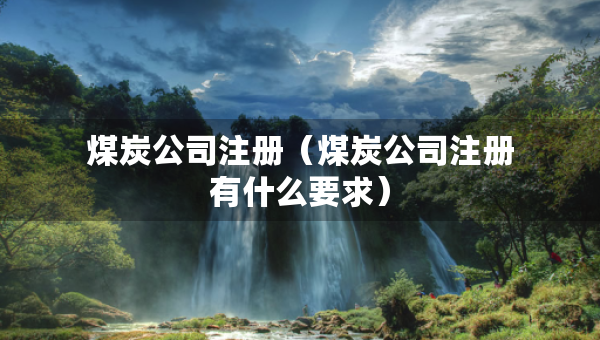 煤炭公司注冊（煤炭公司注冊有什么要求）