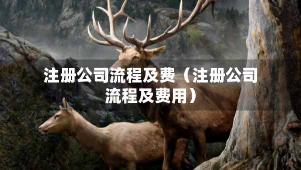 注冊(cè)公司流程及費(fèi)（注冊(cè)公司流程及費(fèi)用）