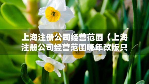 上海注冊公司經(jīng)營范圍（上海注冊公司經(jīng)營范圍哪年改版只能勾選）