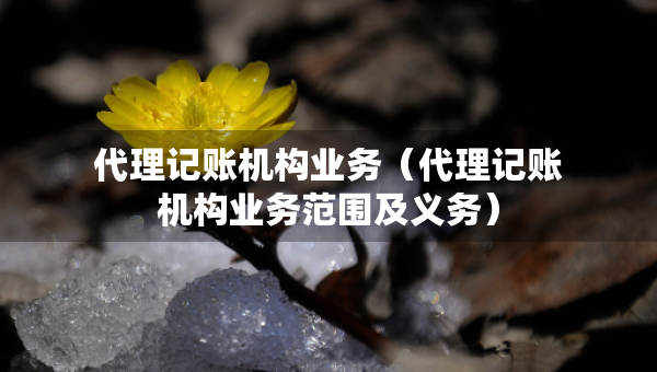 代理記賬機構(gòu)業(yè)務(wù)（代理記賬機構(gòu)業(yè)務(wù)范圍及義務(wù)）