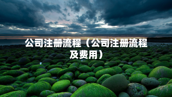 公司注冊流程（公司注冊流程及費(fèi)用）