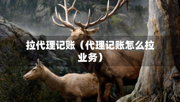拉代理記賬（代理記賬怎么拉業(yè)務(wù)）
