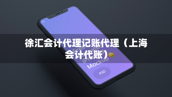 徐匯會計代理記賬代理（上海會計代賬）