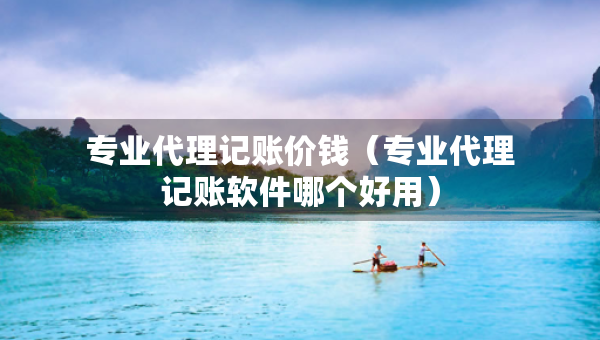 專業(yè)代理記賬價錢（專業(yè)代理記賬軟件哪個好用）