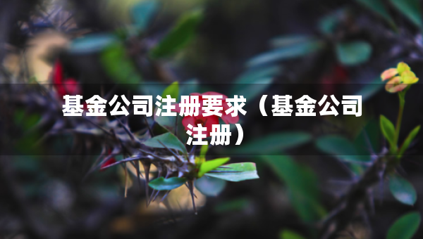 基金公司注冊要求（基金公司 注冊）
