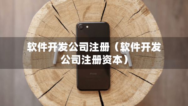 軟件開發(fā)公司注冊（軟件開發(fā)公司注冊資本）