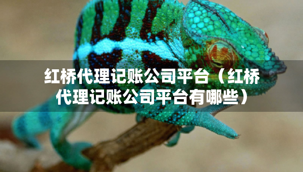 紅橋代理記賬公司平臺(tái)（紅橋代理記賬公司平臺(tái)有哪些）