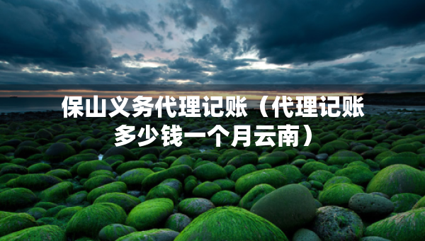 保山義務(wù)代理記賬（代理記賬多少錢一個月云南）
