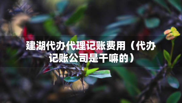 建湖代辦代理記賬費(fèi)用（代辦記賬公司是干嘛的）