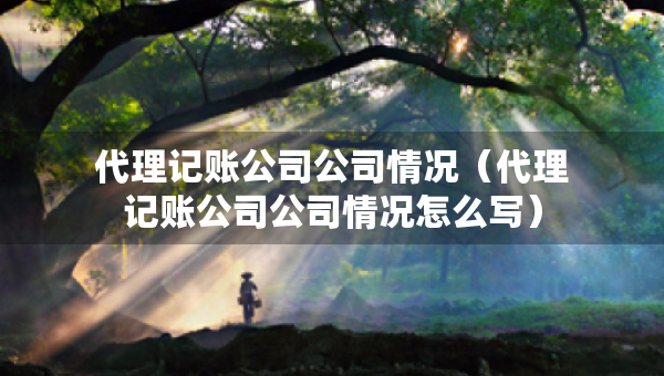 代理記賬公司公司情況（代理記賬公司公司情況怎么寫）