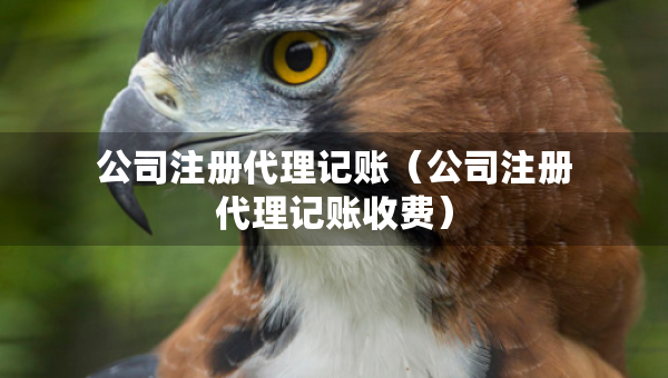 公司注冊(cè)代理記賬（公司注冊(cè)代理記賬收費(fèi)）
