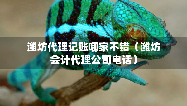 濰坊代理記賬哪家不錯(cuò)（濰坊會(huì)計(jì)代理公司電話）