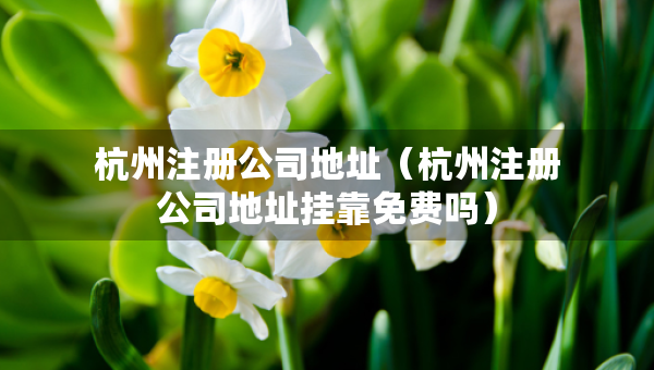 杭州注冊(cè)公司地址（杭州注冊(cè)公司地址掛靠免費(fèi)嗎）