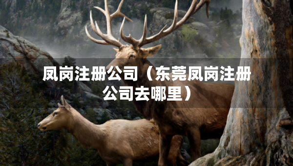 鳳崗注冊(cè)公司（東莞鳳崗注冊(cè)公司去哪里）