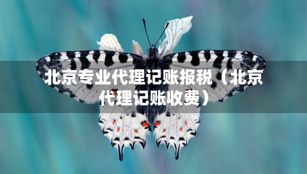 北京專業(yè)代理記賬報(bào)稅（北京代理記賬收費(fèi)）