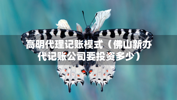 高明代理記賬模式（佛山新辦代記賬公司要投資多少）