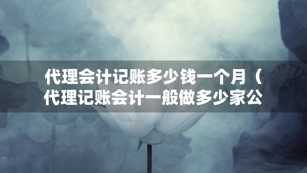 代理會(huì)計(jì)記賬多少錢一個(gè)月（代理記賬會(huì)計(jì)一般做多少家公司）