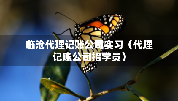 臨滄代理記賬公司實習(xí)（代理記賬公司招學(xué)員）