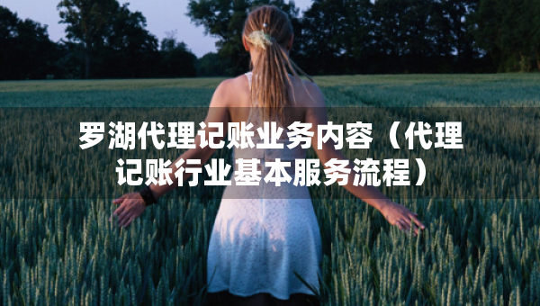羅湖代理記賬業(yè)務內(nèi)容（代理記賬行業(yè)基本服務流程）