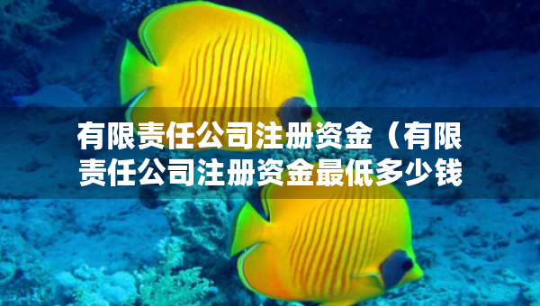 有限責(zé)任公司注冊資金（有限責(zé)任公司注冊資金最低多少錢）
