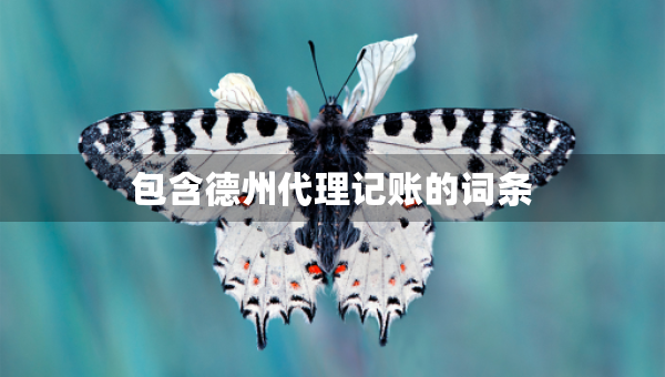 包含德州代理記賬的詞條