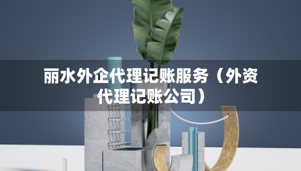 麗水外企代理記賬服務（外資代理記賬公司）