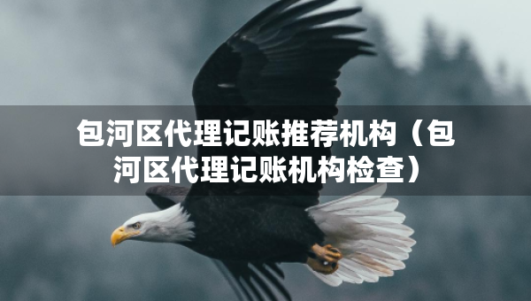 包河區(qū)代理記賬推薦機(jī)構(gòu)（包河區(qū)代理記賬機(jī)構(gòu)檢查）