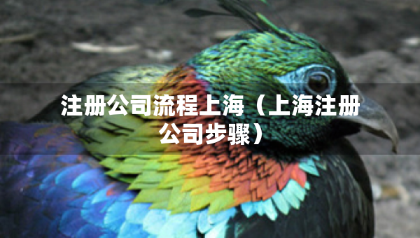 注冊公司流程上海（上海注冊公司步驟）