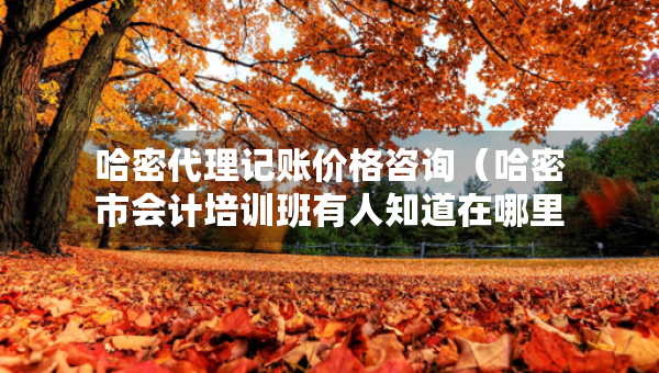 哈密代理記賬價(jià)格咨詢（哈密市會(huì)計(jì)培訓(xùn)班有人知道在哪里）