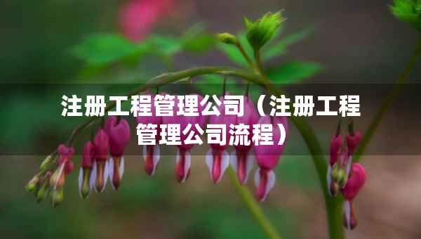 注冊工程管理公司（注冊工程管理公司流程）
