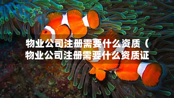 物業(yè)公司注冊需要什么資質（物業(yè)公司注冊需要什么資質證書）
