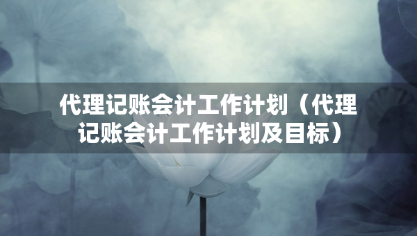代理記賬會(huì)計(jì)工作計(jì)劃（代理記賬會(huì)計(jì)工作計(jì)劃及目標(biāo)）