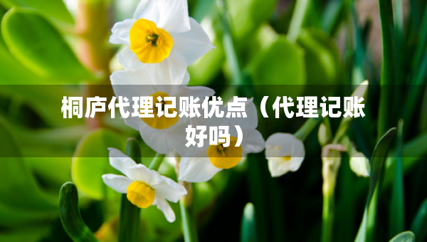 桐廬代理記賬優(yōu)點（代理記賬好嗎）