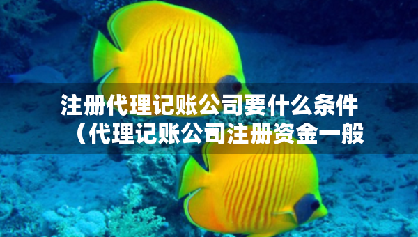 注冊(cè)代理記賬公司要什么條件（代理記賬公司注冊(cè)資金一般是多少）