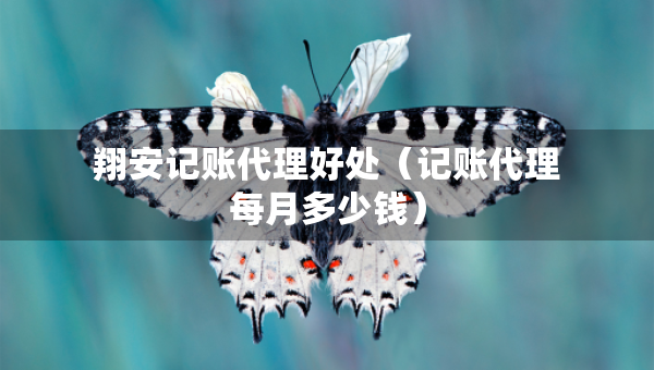 翔安記賬代理好處（記賬代理每月多少錢）