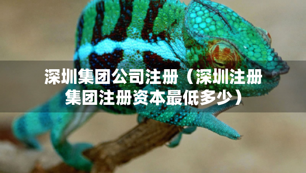 深圳集團(tuán)公司注冊(cè)（深圳注冊(cè)集團(tuán)注冊(cè)資本最低多少）