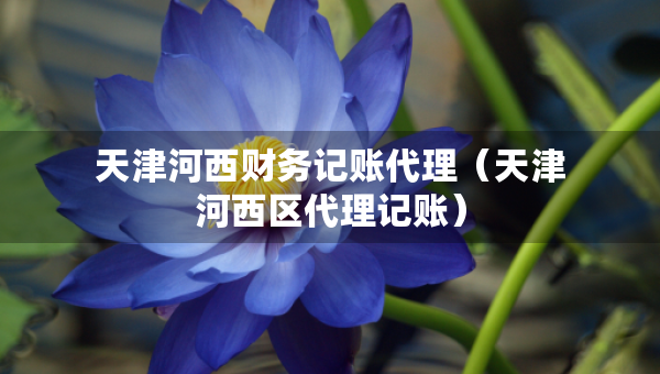 天津河西財務(wù)記賬代理（天津河西區(qū)代理記賬）