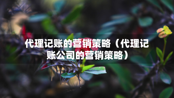 代理記賬的營銷策略（代理記賬公司的營銷策略）