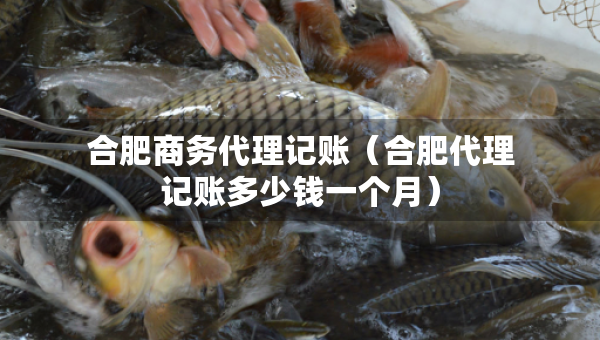 合肥商務代理記賬（合肥代理記賬多少錢一個月）