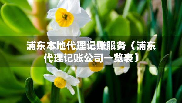 浦東本地代理記賬服務（浦東代理記賬公司一覽表）