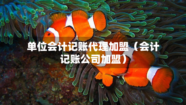 單位會計(jì)記賬代理加盟（會計(jì)記賬公司加盟）