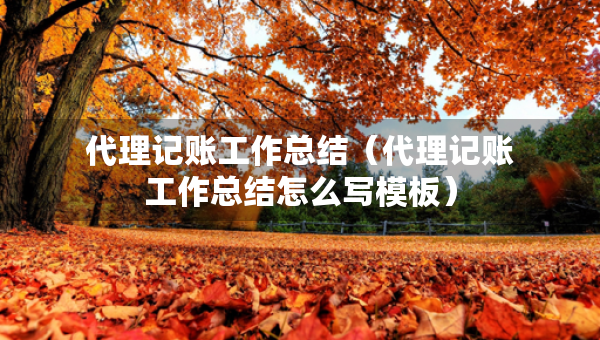 代理記賬工作總結(jié)（代理記賬工作總結(jié)怎么寫模板）