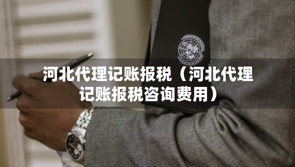 河北代理記賬報(bào)稅（河北代理記賬報(bào)稅咨詢費(fèi)用）