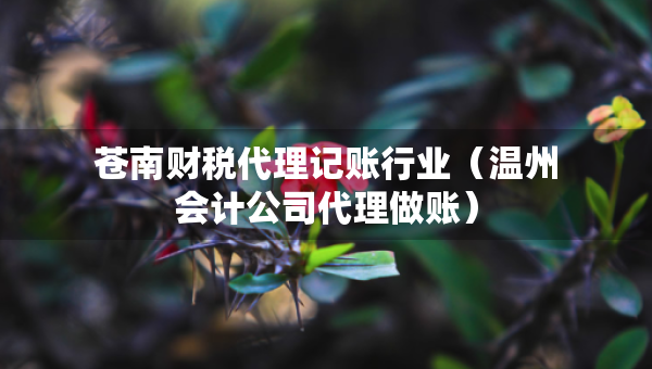 蒼南財(cái)稅代理記賬行業(yè)（溫州會(huì)計(jì)公司代理做賬）